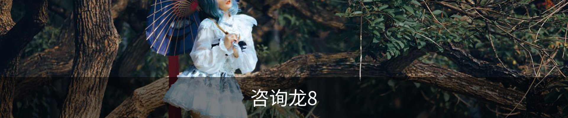 咨询龙8